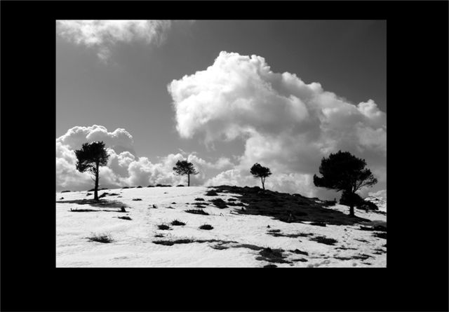 Sierra del Sueve, Colunga y Parres, Asturias.